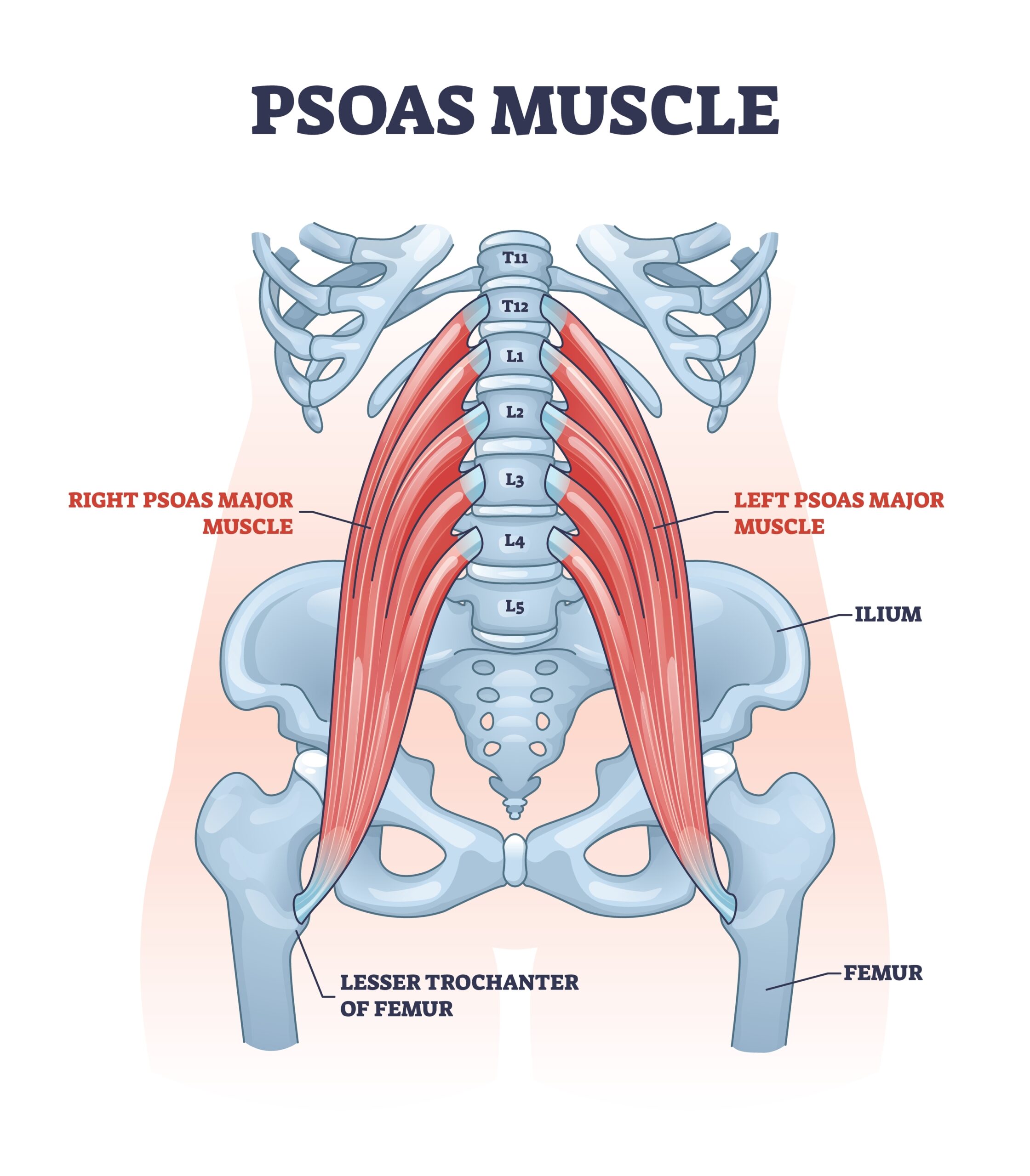 hip specialists Austin hip flexor