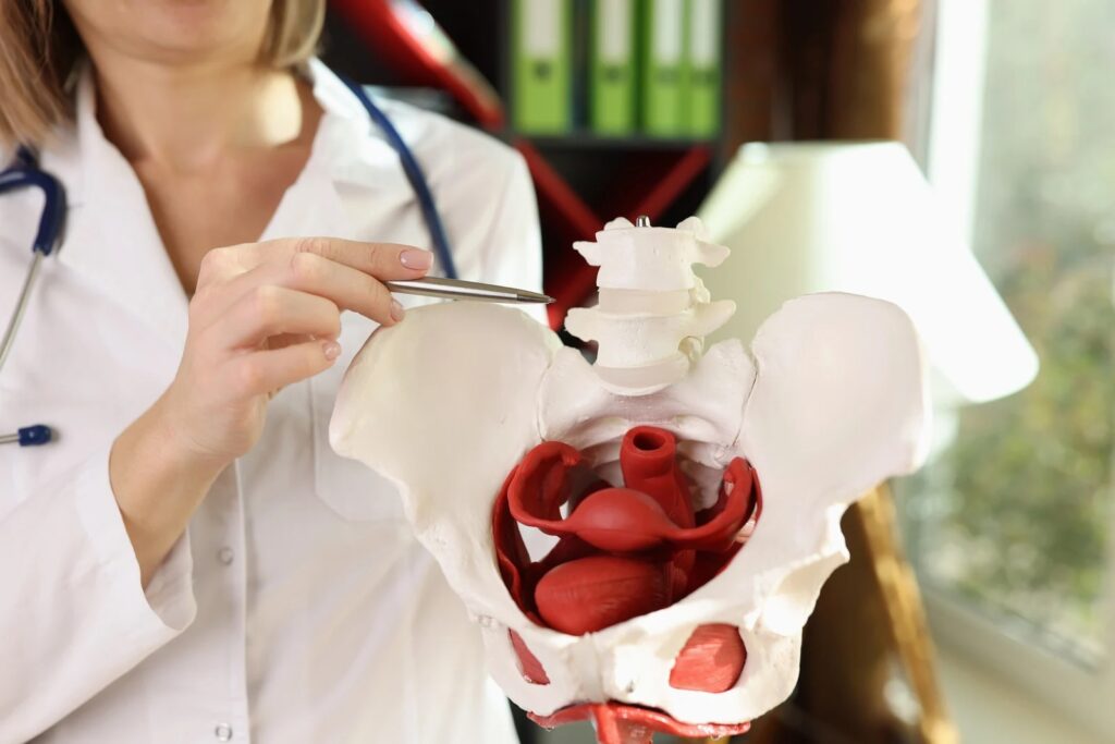 eds pelvic floor dysfunction