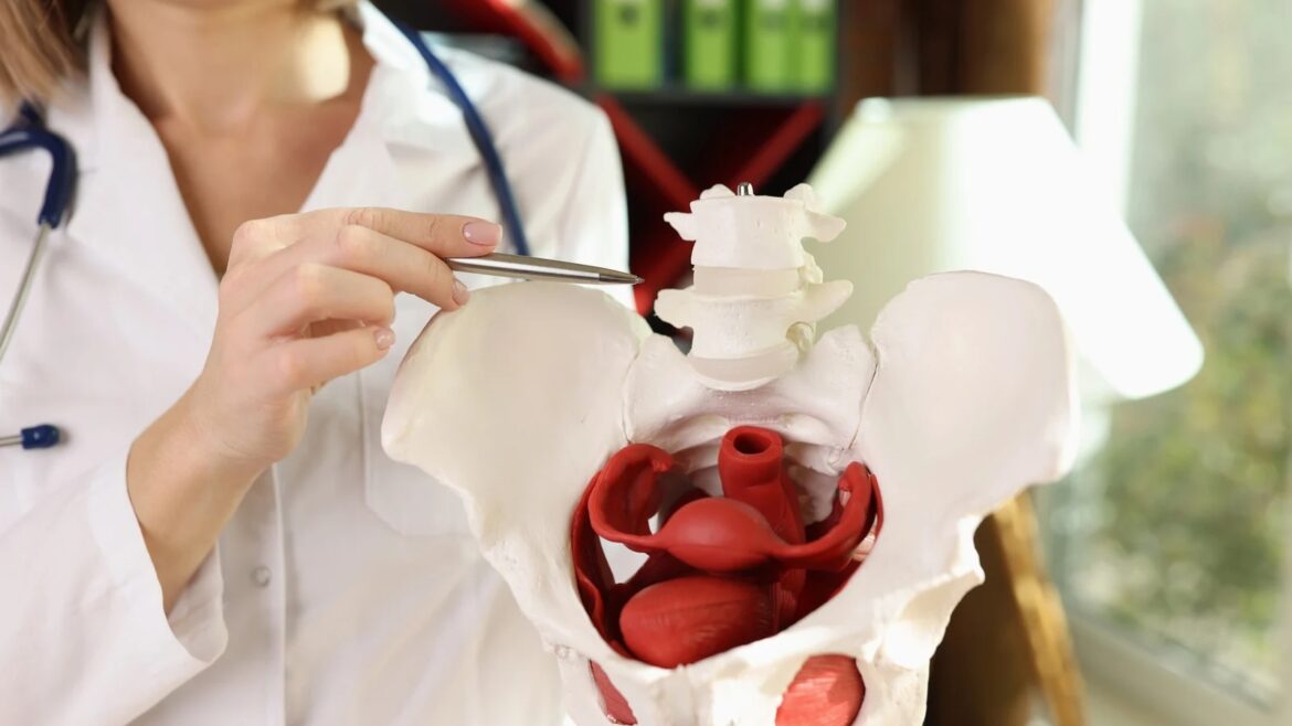 eds pelvic floor dysfunction