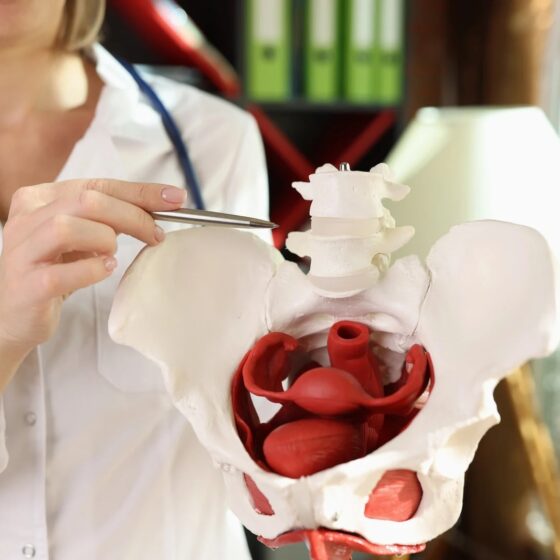 eds pelvic floor dysfunction